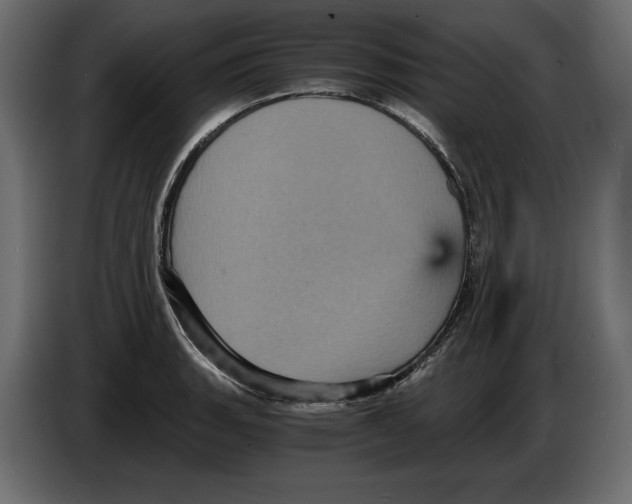 X0000084571135200703231815