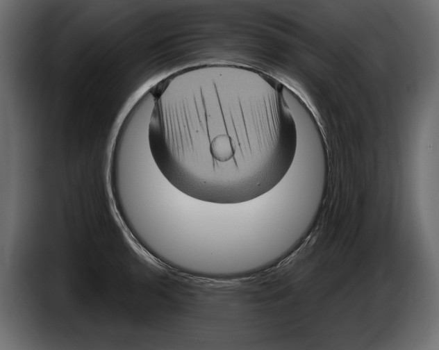 X0000084571136200703231815