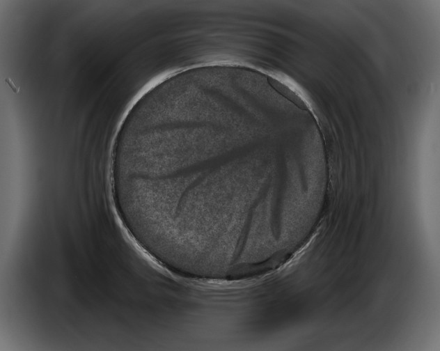 X0000084571142200703231815