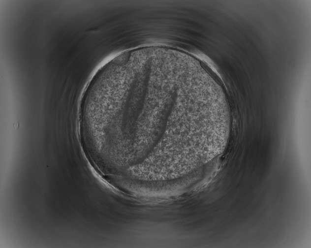 X0000084571143200703231815