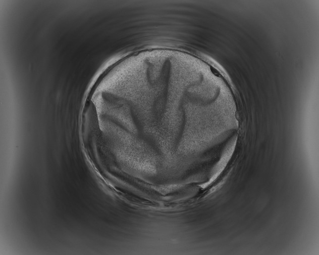 X0000084571146200703231815