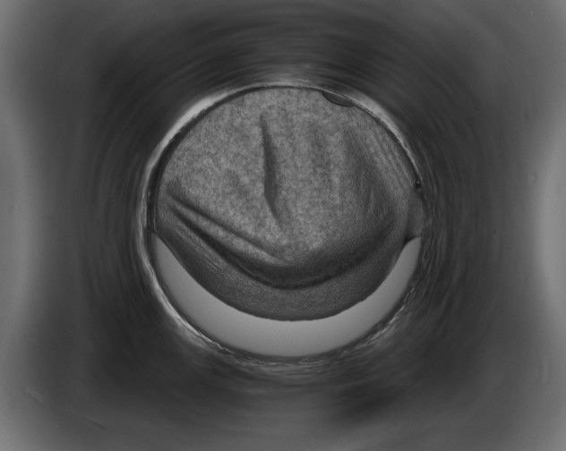 X0000084571147200703231815