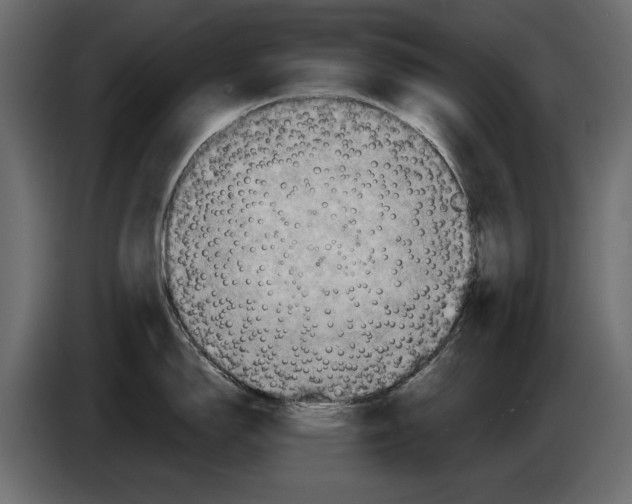 X0000084571150200703231815