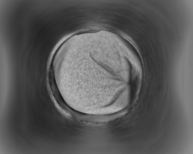 X0000084571152200703231815