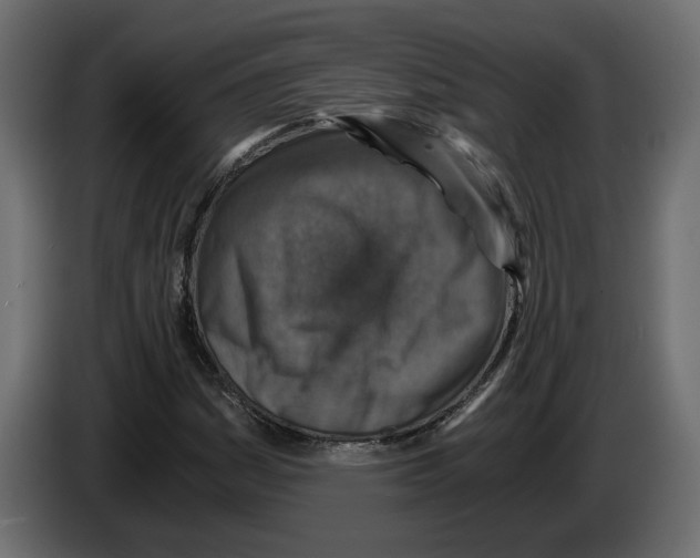 X0000084571161200703231815