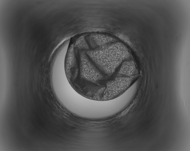 X0000084571165200703231815