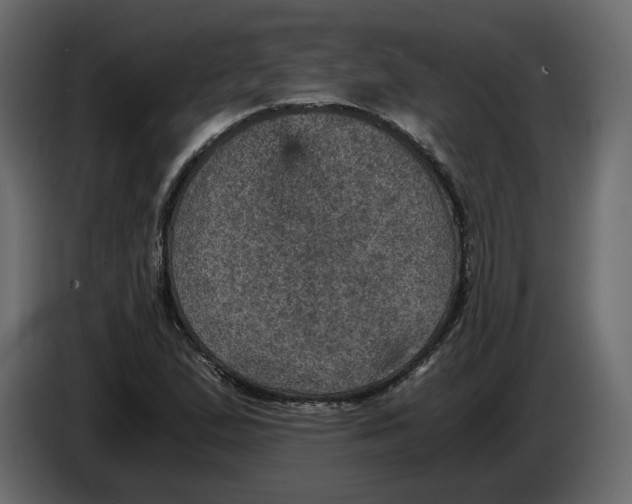X0000084571167200703231815