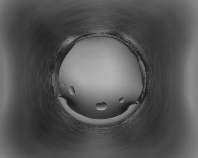 X0000084571169200703231815
