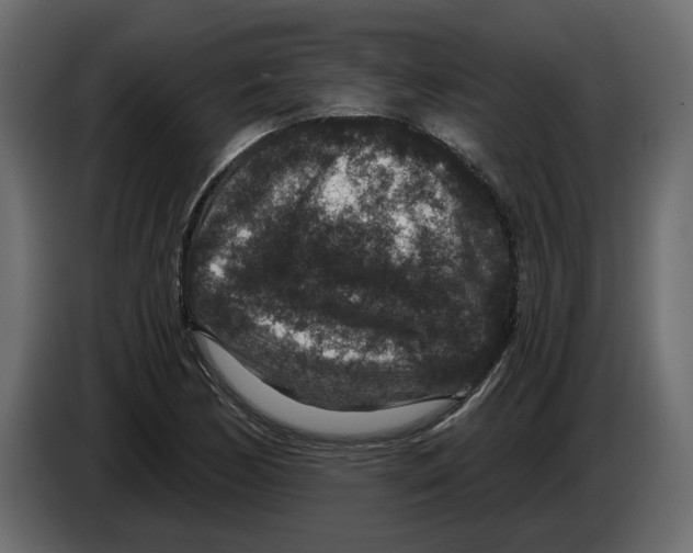 X0000084571170200703231815