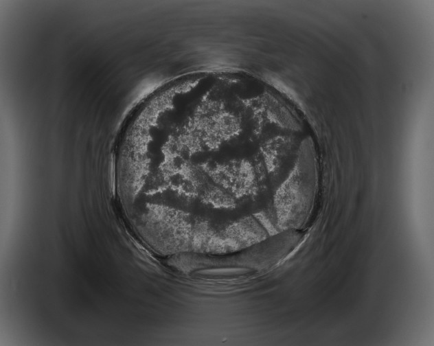 X0000084571171200703231815