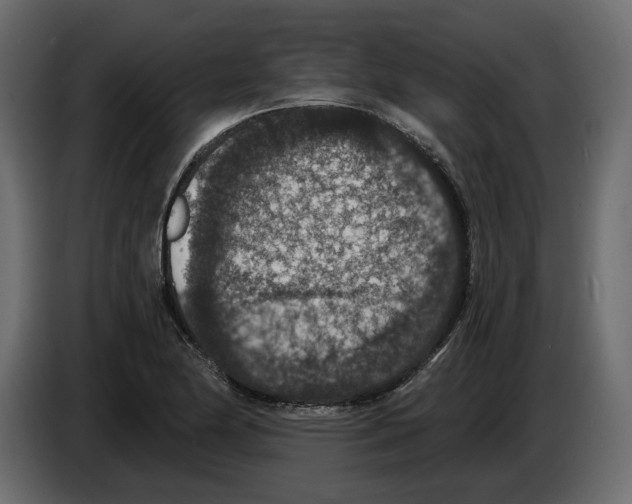 X0000084571174200703231814