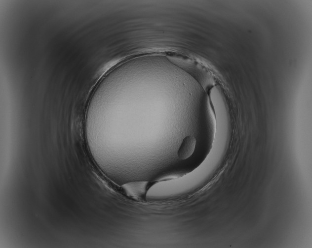 X0000084571177200703231814