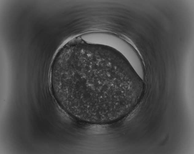 X0000084571179200703231814