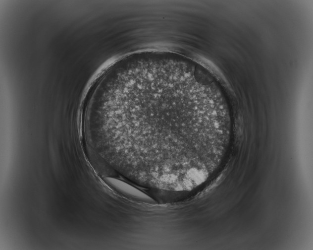 X0000084571180200703231814