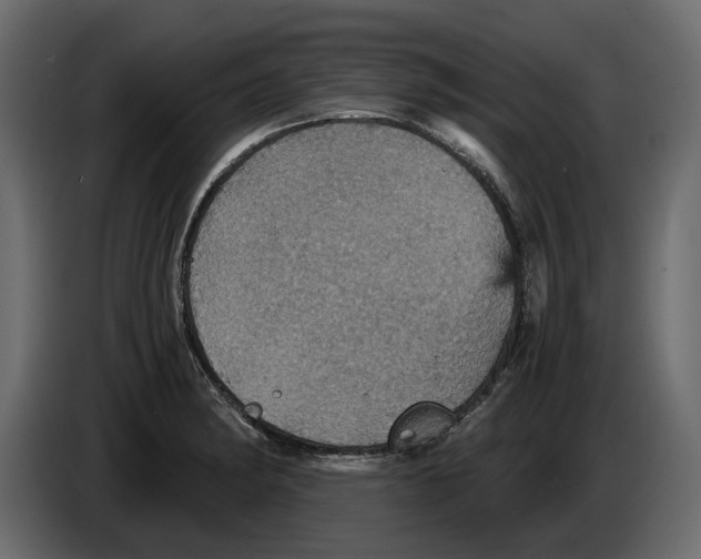 X0000084571182200703231814