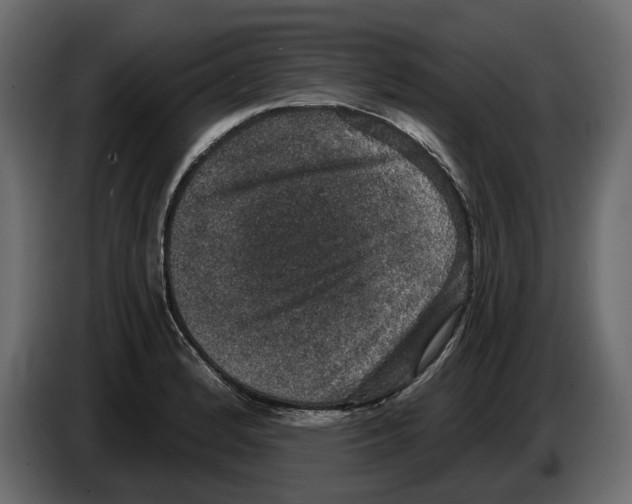 X0000084571184200703231814