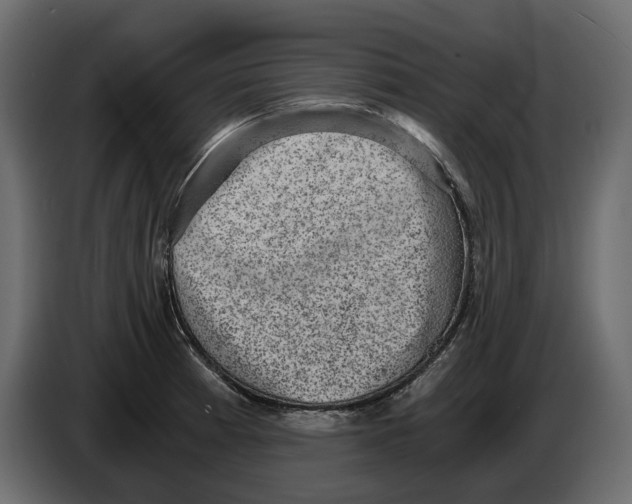 X0000084571185200703231814