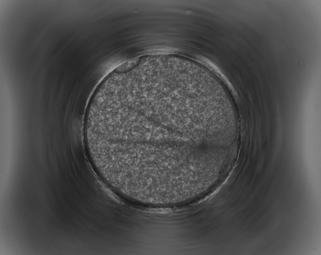 X0000084571186200703231814