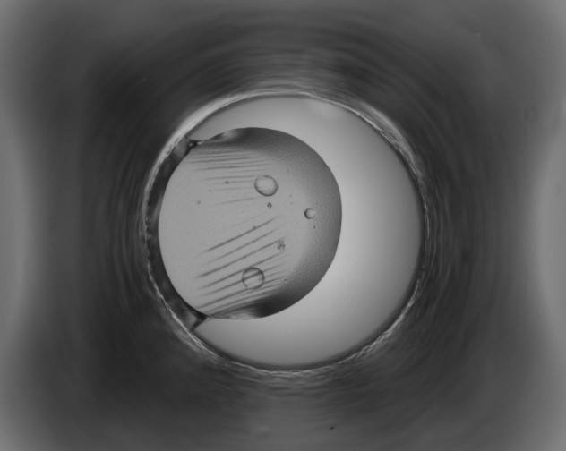 X0000084571192200703231814