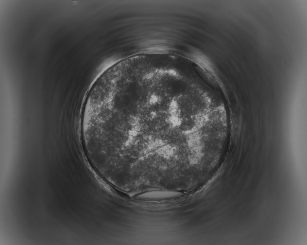 X0000084571194200703231814