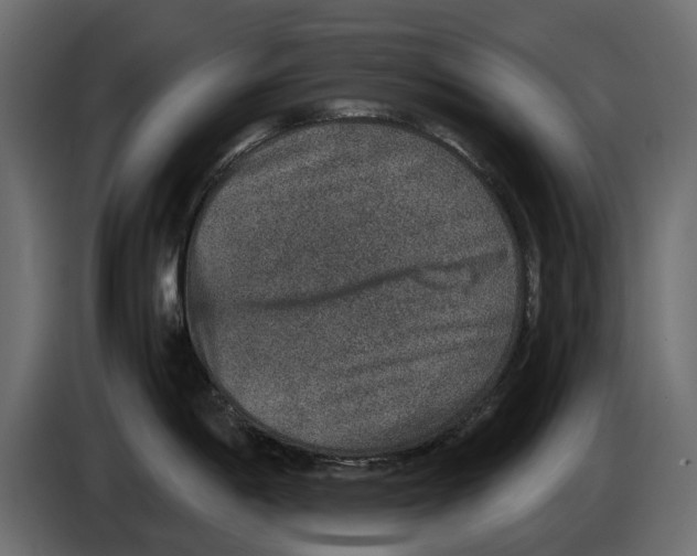 X0000084571198200703231814