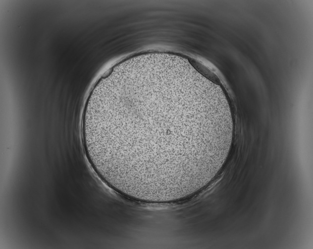 X0000084571199200703231814