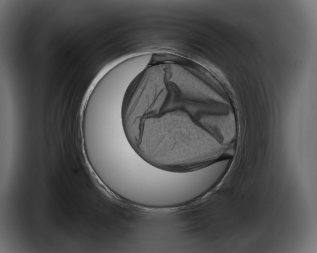 X0000084571200200703231814