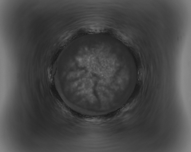 X0000084571202200703231813