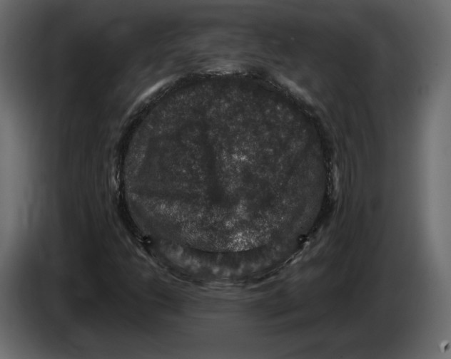 X0000084571206200703231814