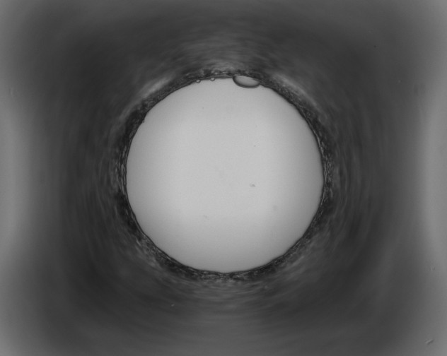 X0000084571207200703231814