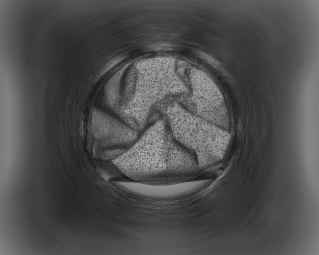 X0000084571209200703231814