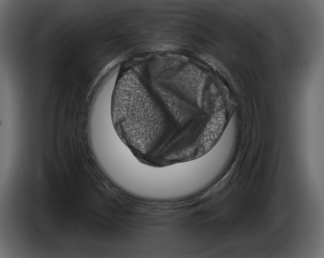 X0000084571210200703231814