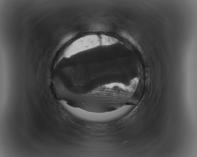 X0000084571213200703231814