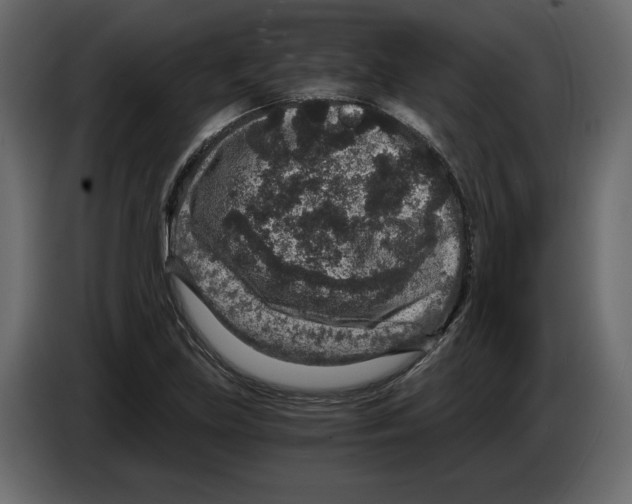 X0000084571219200703231814