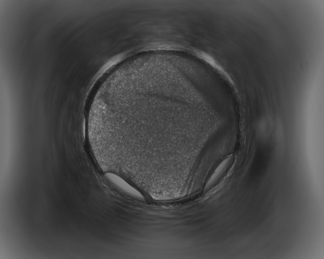 X0000084571221200703231814