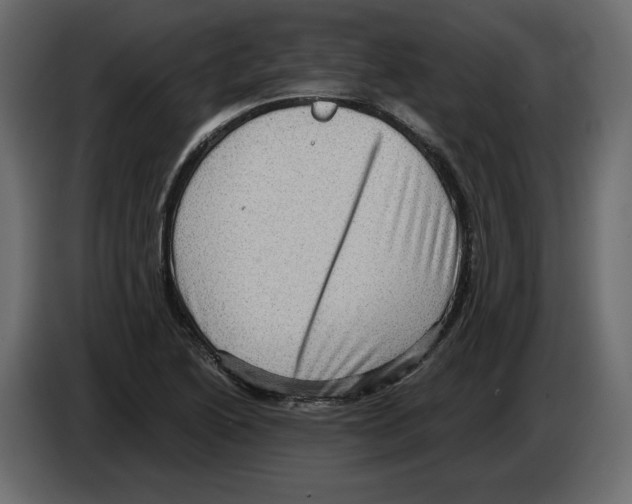 X0000084571222200703231814
