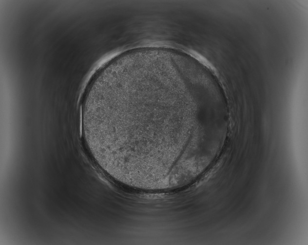 X0000084571223200703231814
