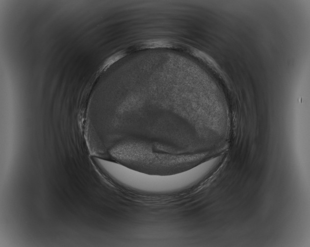X0000084571225200703231814