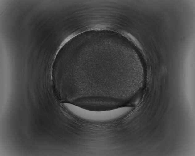 X0000084571226200703231814