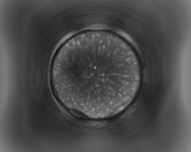 X0000084571229200703231814