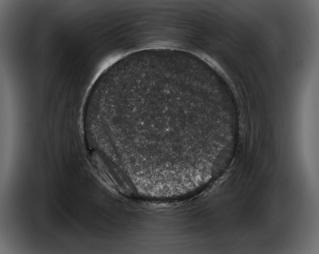 X0000084571230200703231814