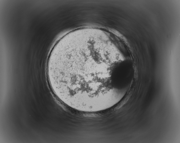 X0000084571231200703231814