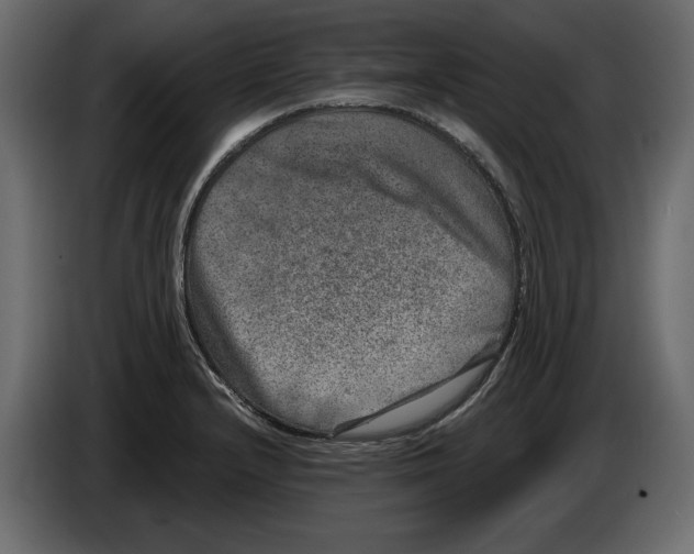 X0000084571232200703231814