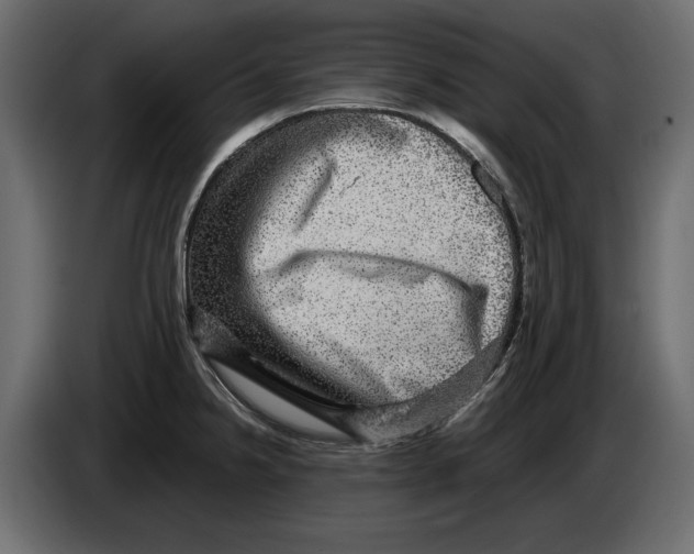 X0000084571238200703231814