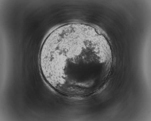 X0000084571239200703231814