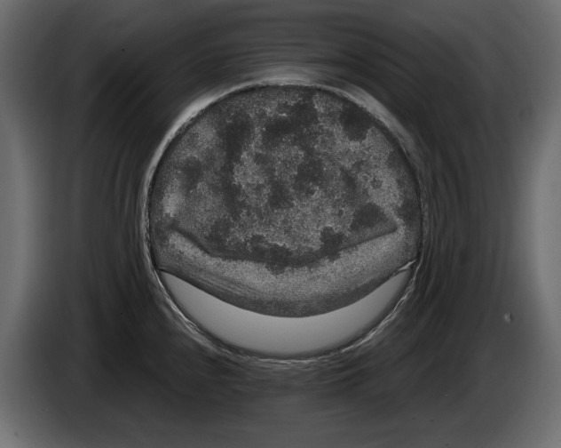 X0000084571240200703231814