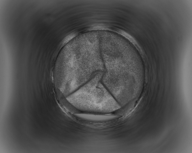 X0000084571241200703231814