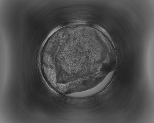 X0000084571243200703231814