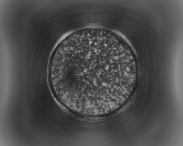 X0000084571245200703231814