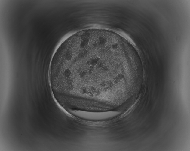 X0000084571247200703231814